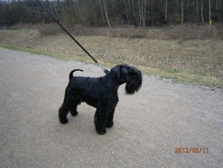 11-03-2012 PSK Gladbeck (D)